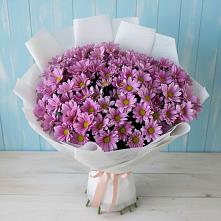 Букет цветов из:  Хризантемы в Коле