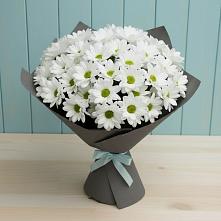 Букет цветов из:  Хризантемы #REPLACE_PRED# Коле