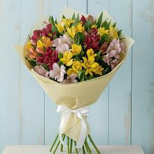 Букет цветов из:  Альстромерии в Коле