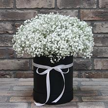 Цветочная композиция из Гипсофила в шляпной коробке в Коле
