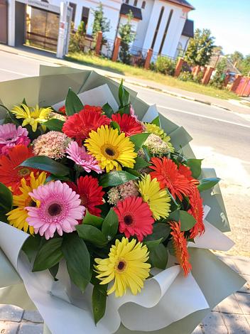 Букет цветов из: Герберы в Коле